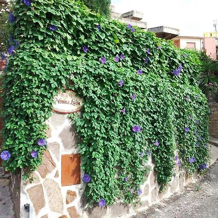 B&B Nonna Luisa Tarquinia Luaran gambar