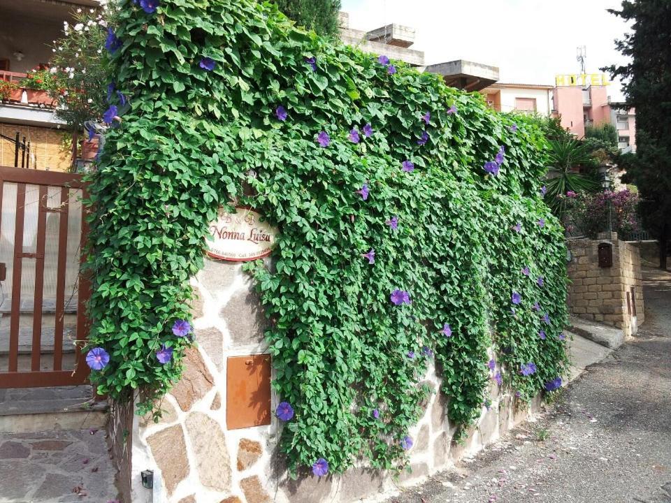 B&B Nonna Luisa Tarquinia Luaran gambar